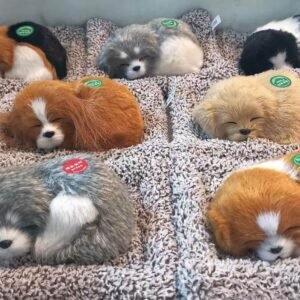 Brinquedo cachorrinho e gatinho c/som